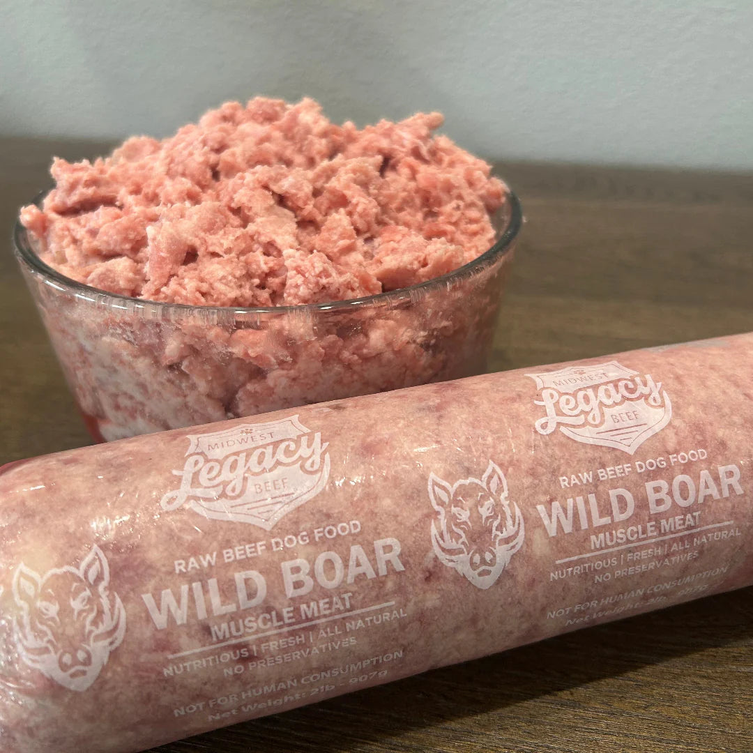 Ground Wild Boar