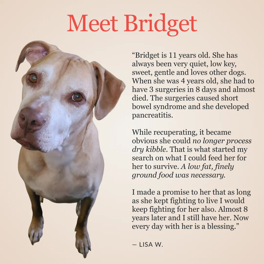 Legacy Low Fat - Bridget's Blend
