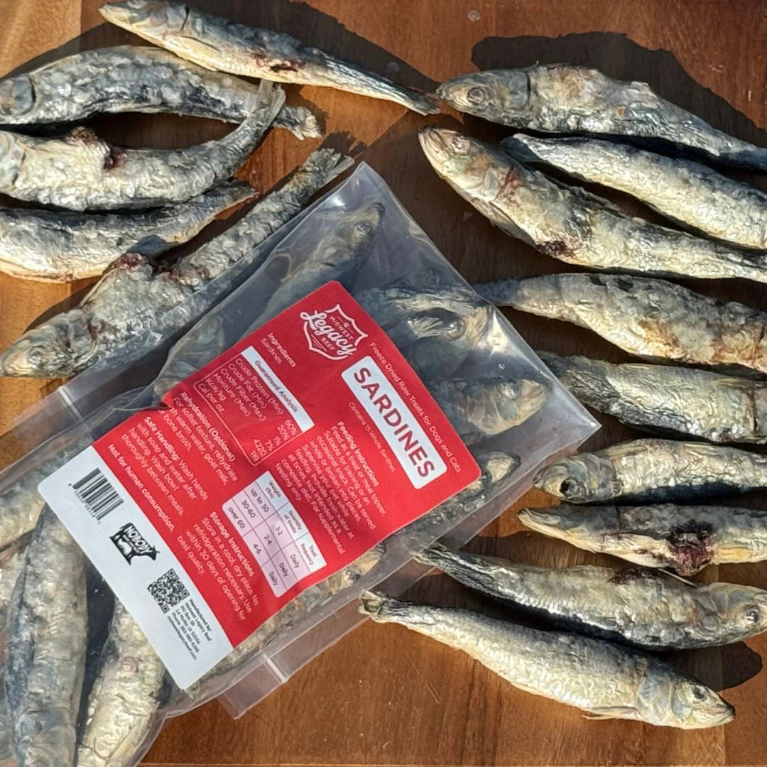 Freeze Dried - Whole Sardines